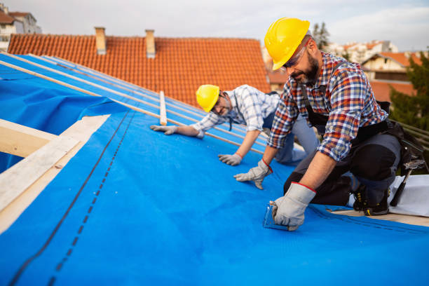 Best Local Roofing Companies  in Bay Springs, MS